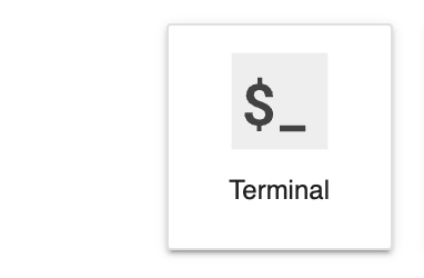 Terminal terminal
